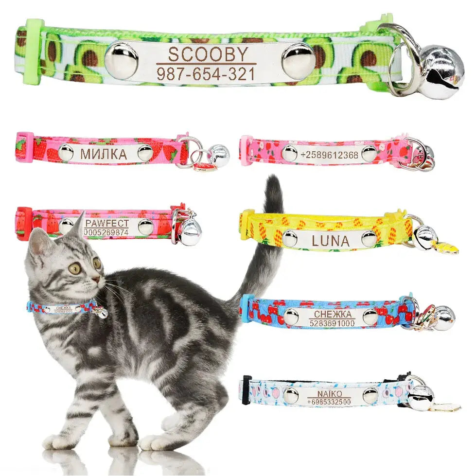 Personalized Cat Collar