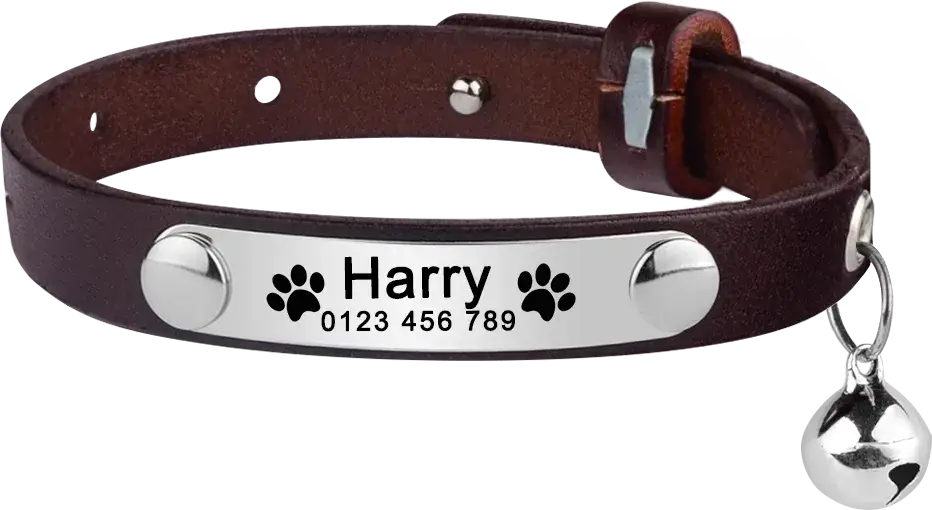 Personalized Cat Collar Leather