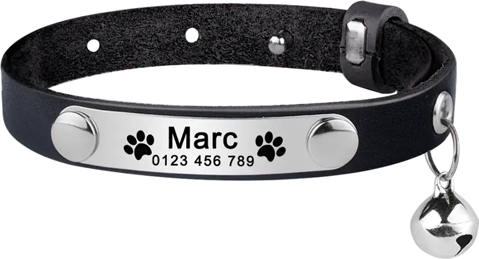 Personalized Cat Collar Leather