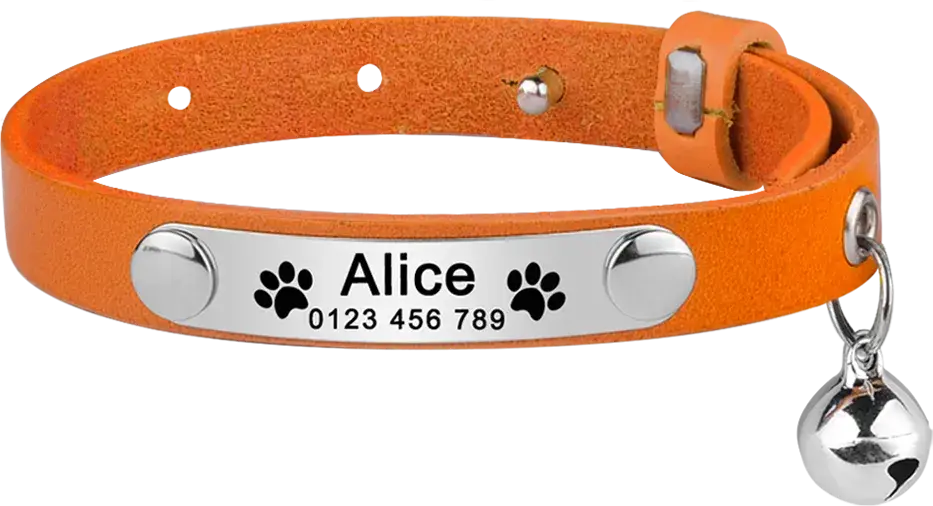 Personalized Cat Collar Leather
