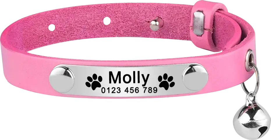 Personalized Cat Collar Leather