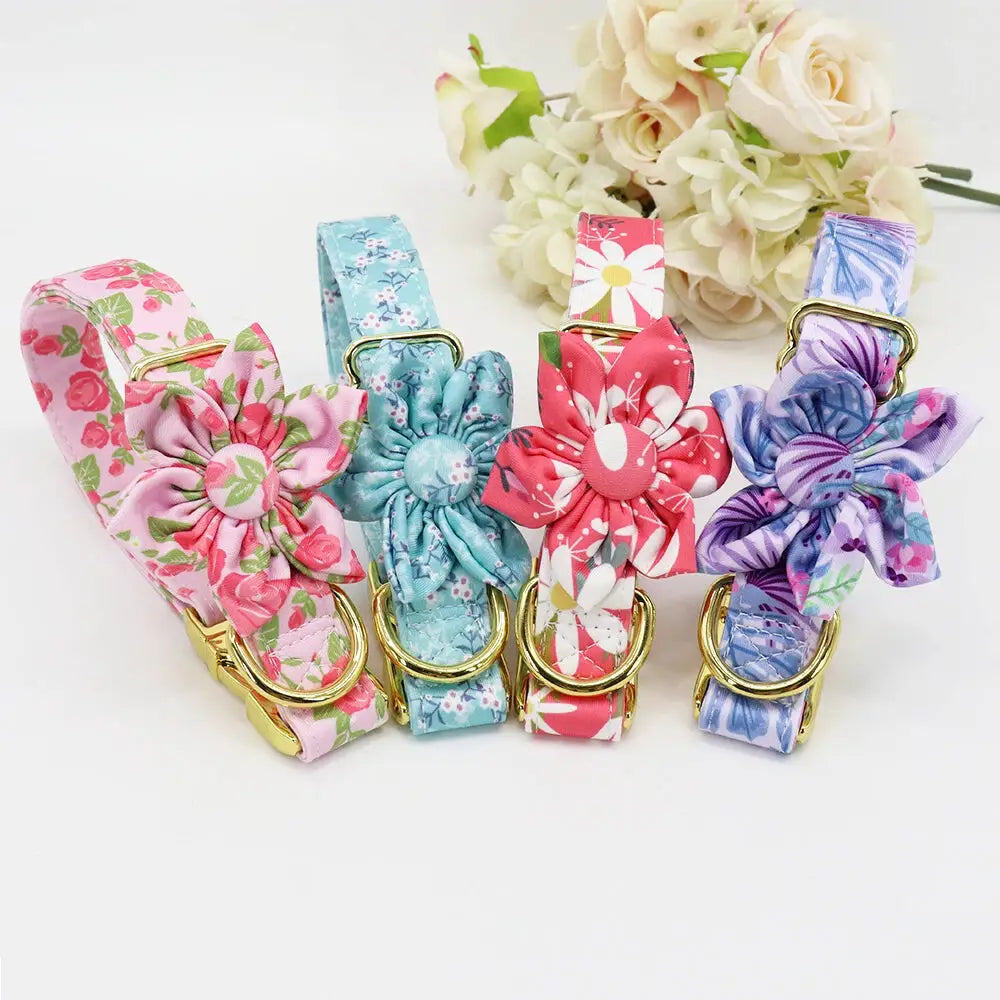 Personalized Cat Collar Pet