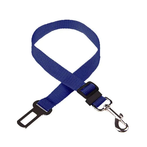 Personalized Cat Collar Safety Harness