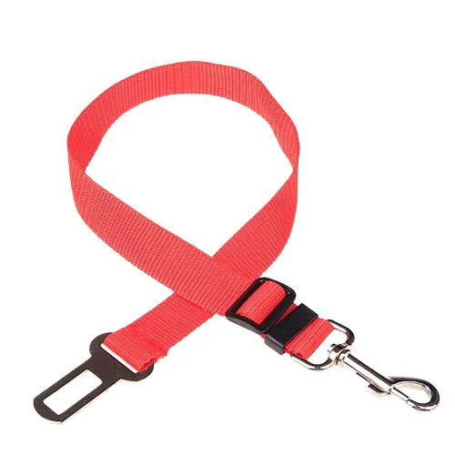 Personalized Cat Collar Safety Harness
