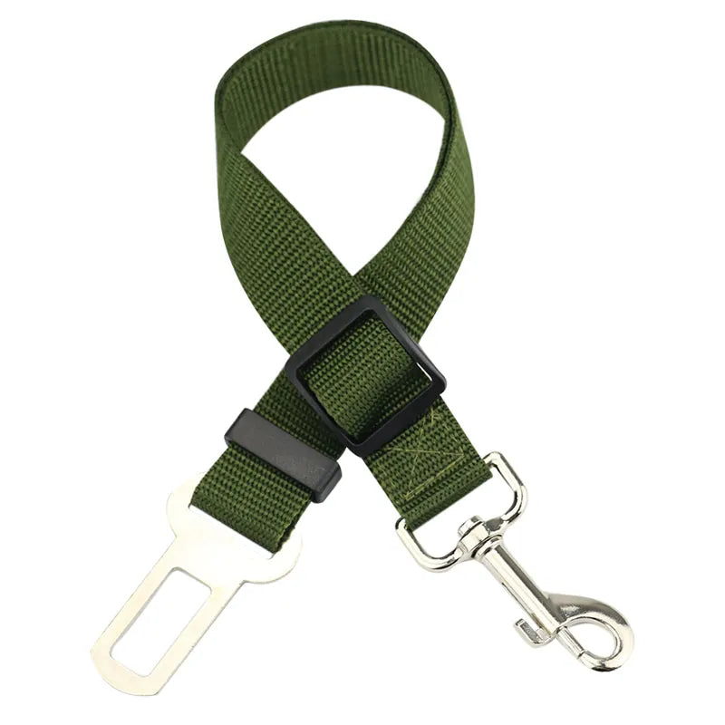 Personalized Cat Collar Safety Harness