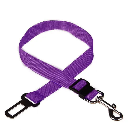 Personalized Cat Collar Safety Harness