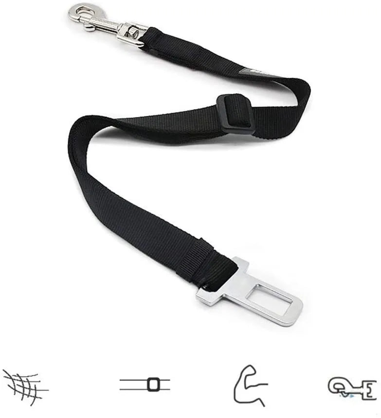 Personalized Cat Collar Safety Harness