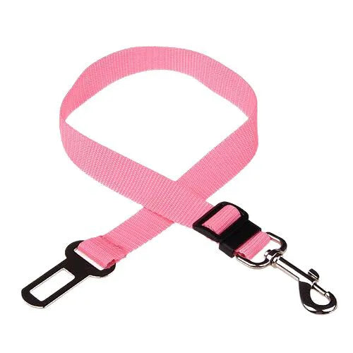 Personalized Cat Collar Safety Harness