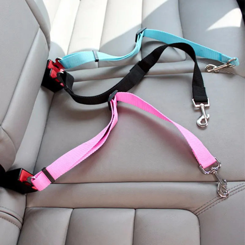 Personalized Cat Collar Safety Harness