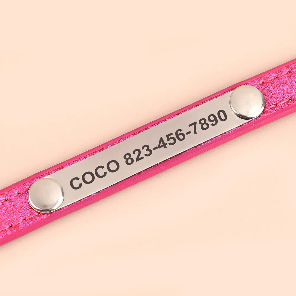 Personalized Cat Collar, Trendy