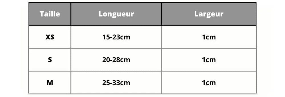 Personalized Cat Collar, Trendy