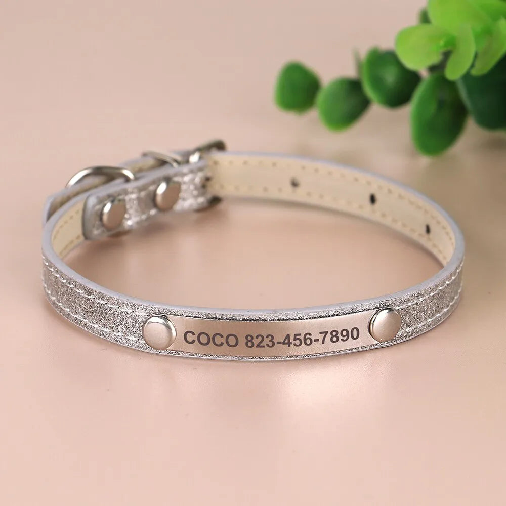 Personalized Cat Collar, Trendy