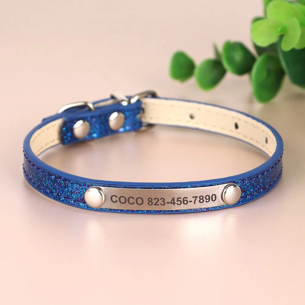 Personalized Cat Collar, Trendy