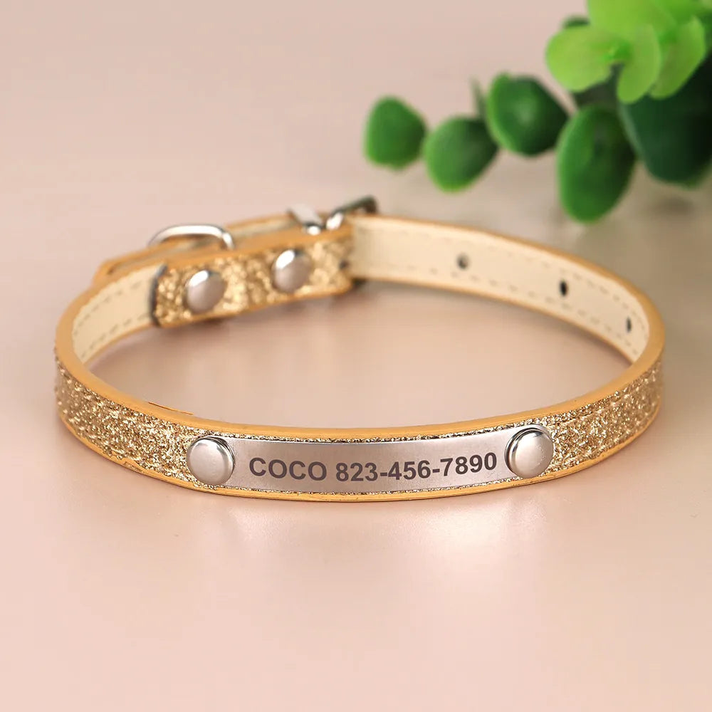 Personalized Cat Collar, Trendy