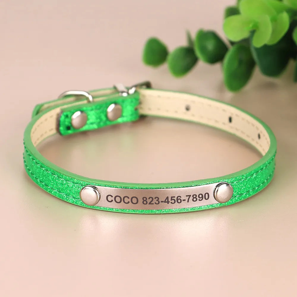Personalized Cat Collar, Trendy