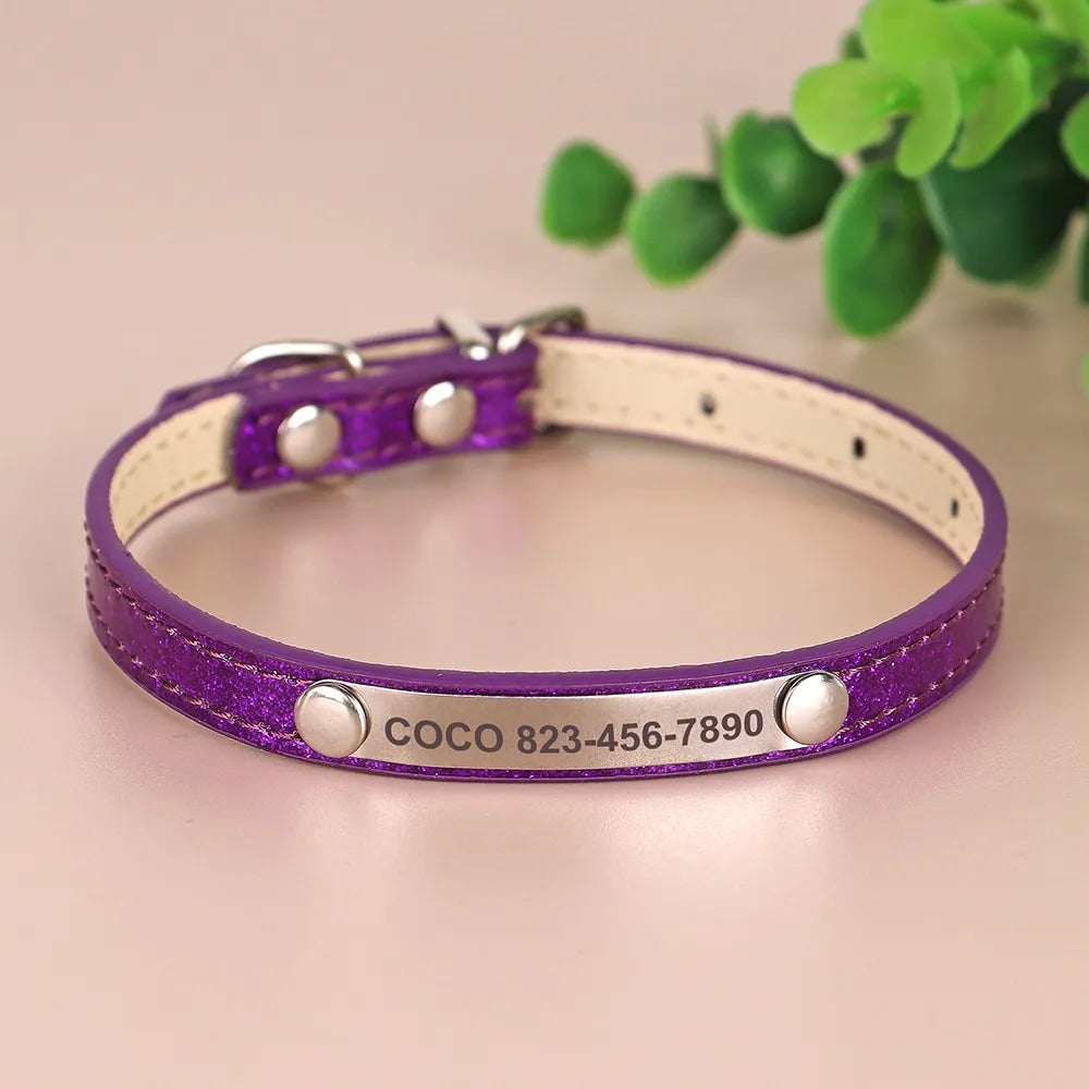 Personalized Cat Collar, Trendy