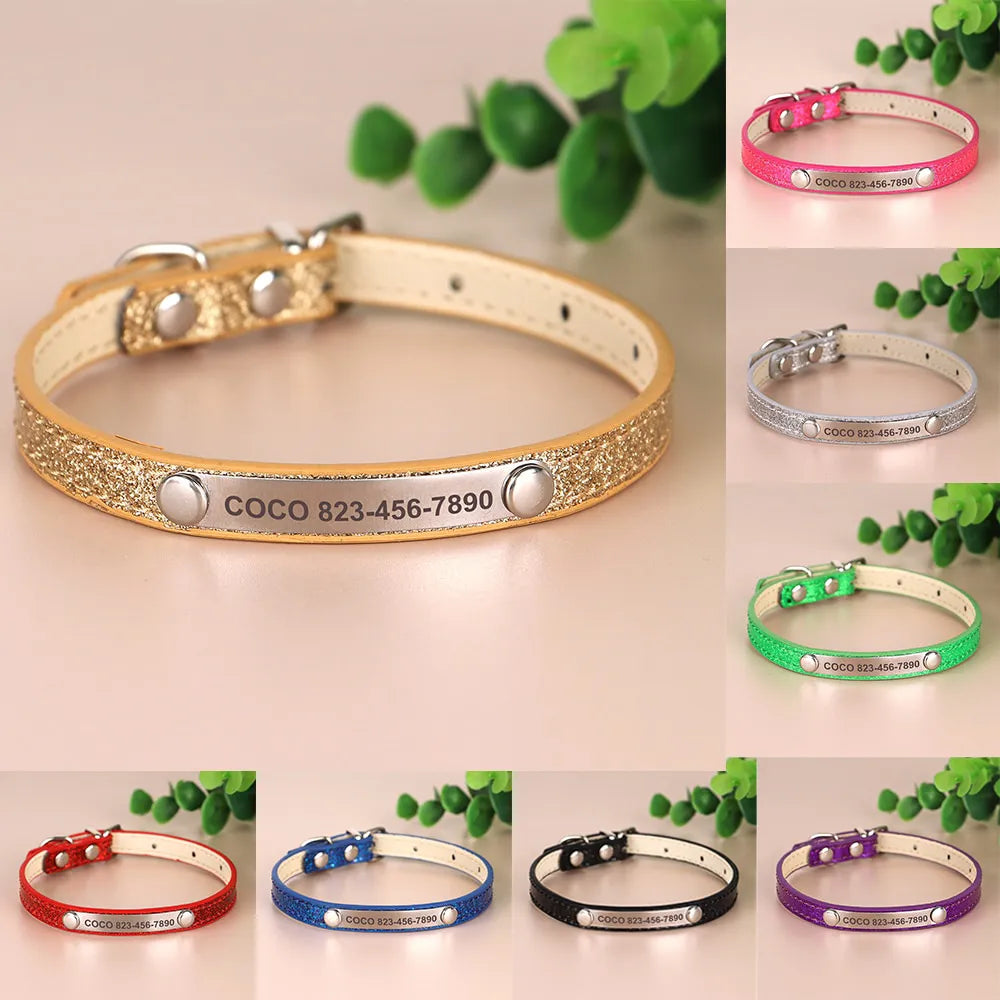 Personalized Cat Collar, Trendy