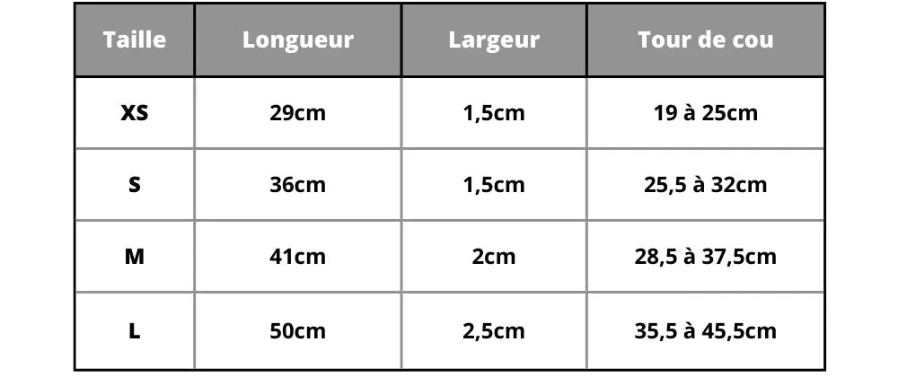 Personalized Cat Collar with Name