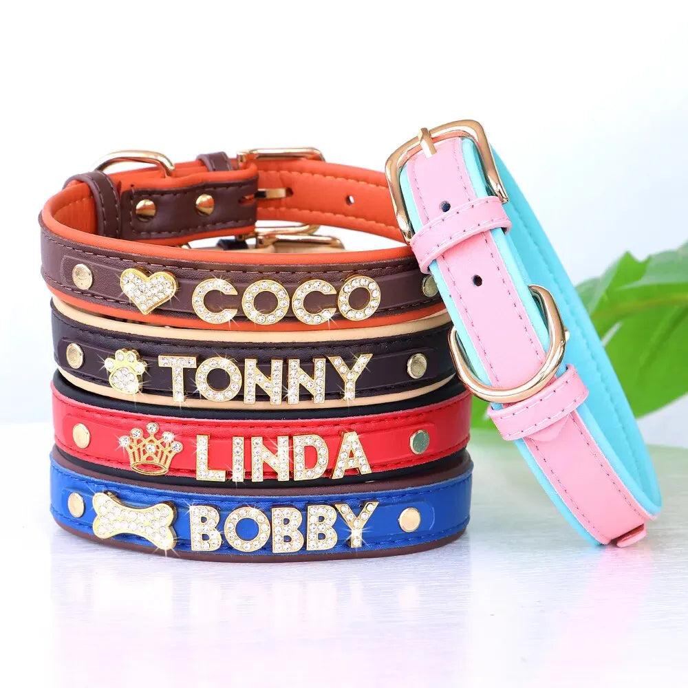 Personalized Cat Collar with Name