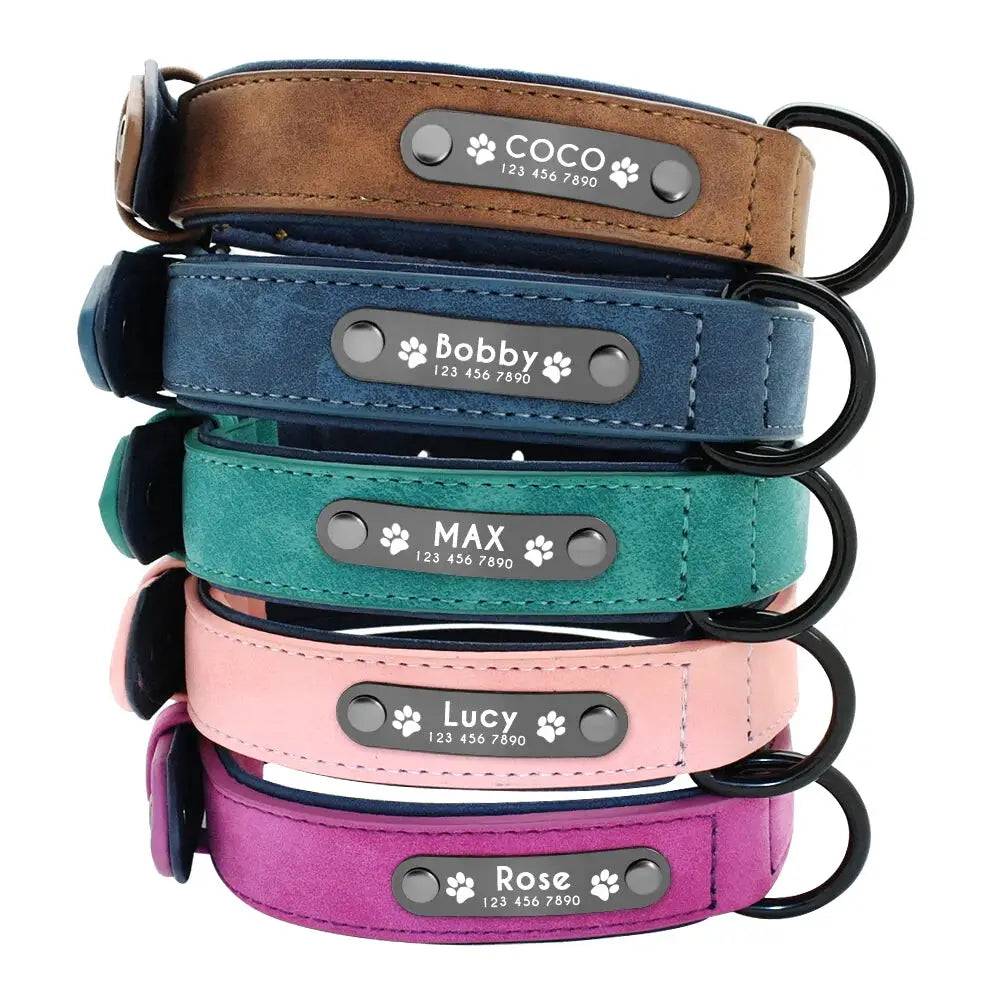 Personalized Dog Collar and Leash