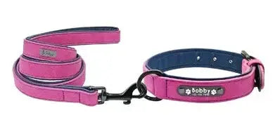 Personalized Dog Collar and Leash