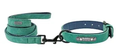 Personalized Dog Collar and Leash