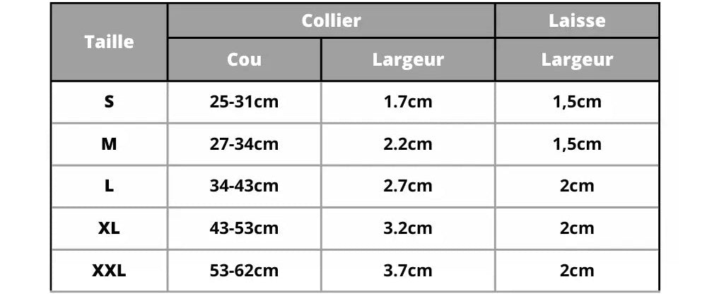 Personalized Dog Collar and Leash