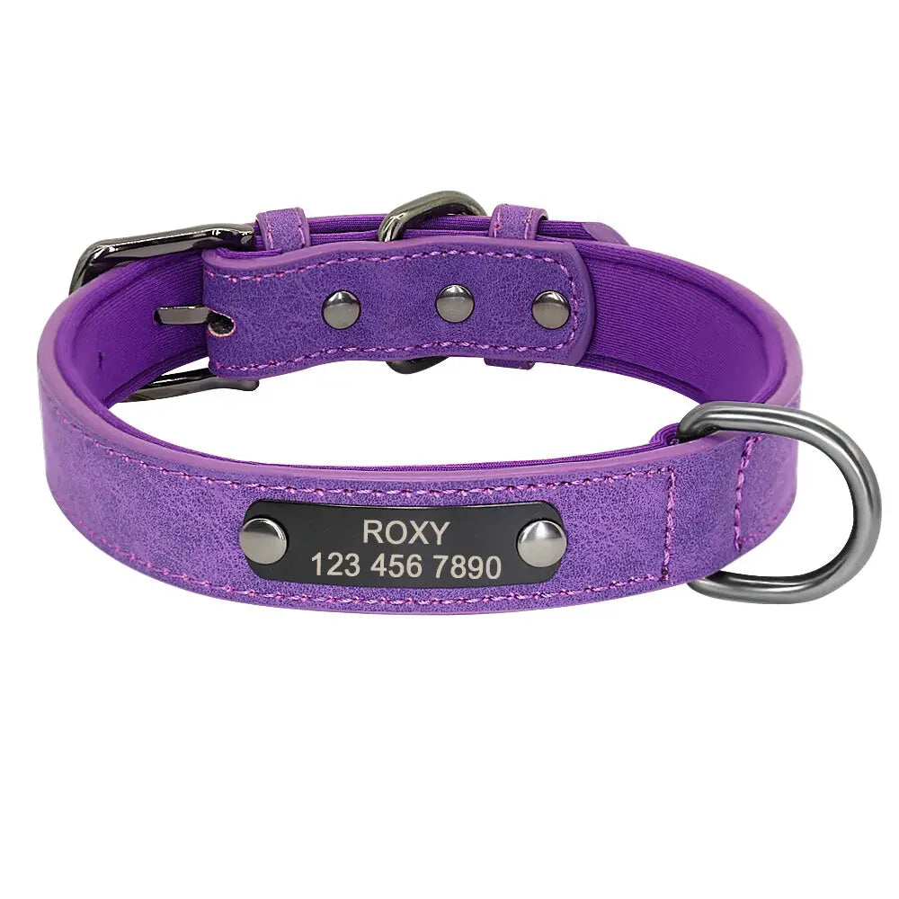 Personalized Dog Collar Big