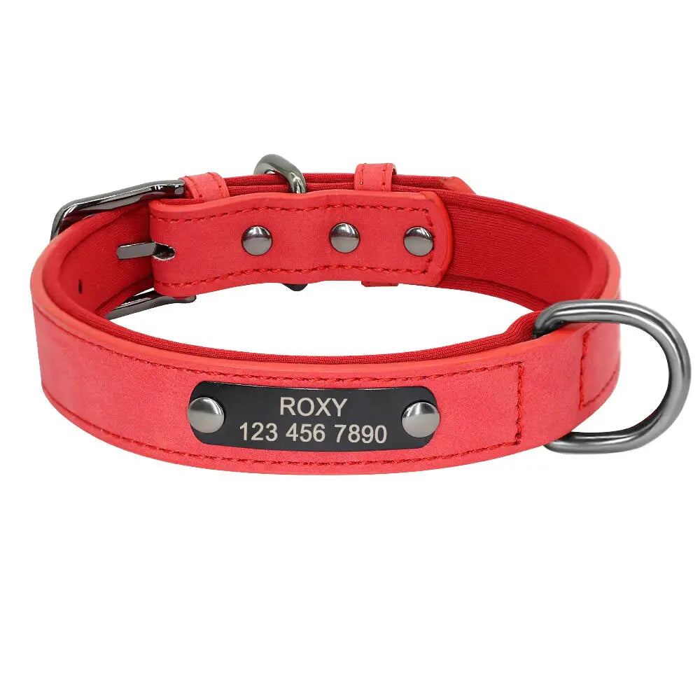 Personalized Dog Collar Big
