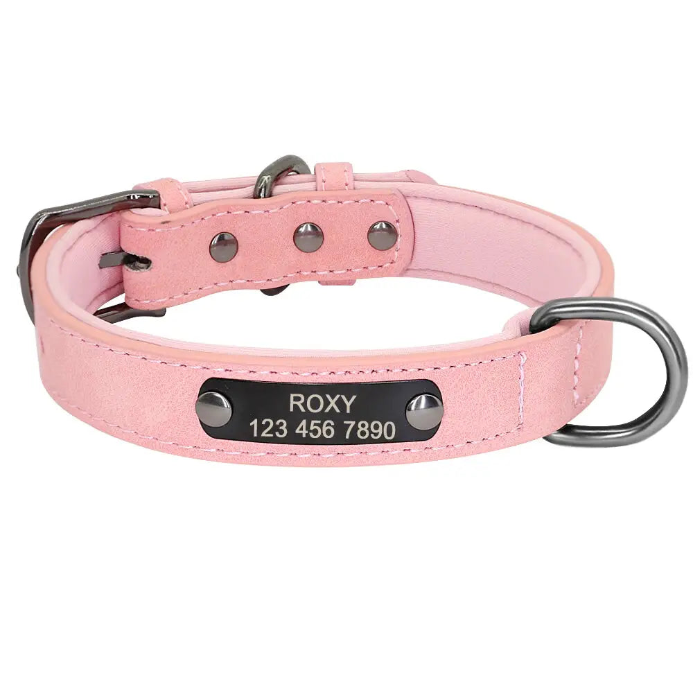 Personalized Dog Collar Big