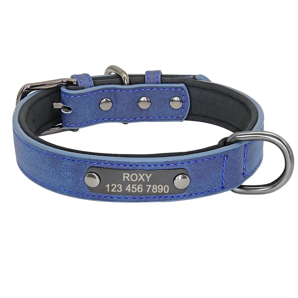 Personalized Dog Collar Big