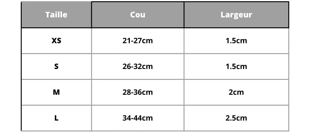 Personalized Dog Collar Big