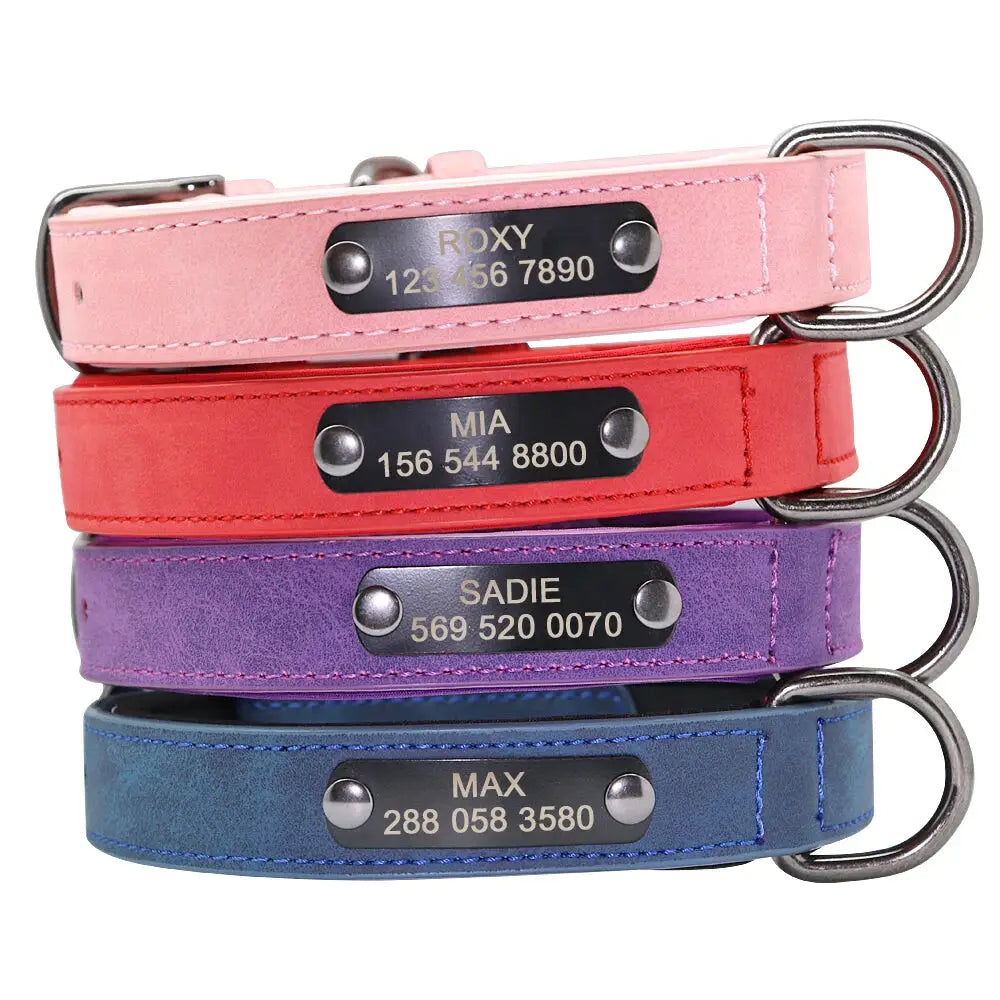 Personalized Dog Collar Big