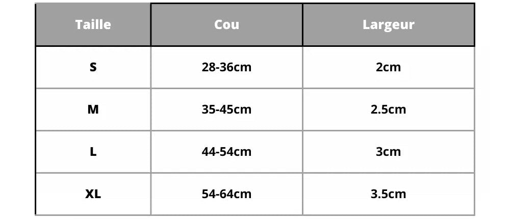 Personalized dog collar carved