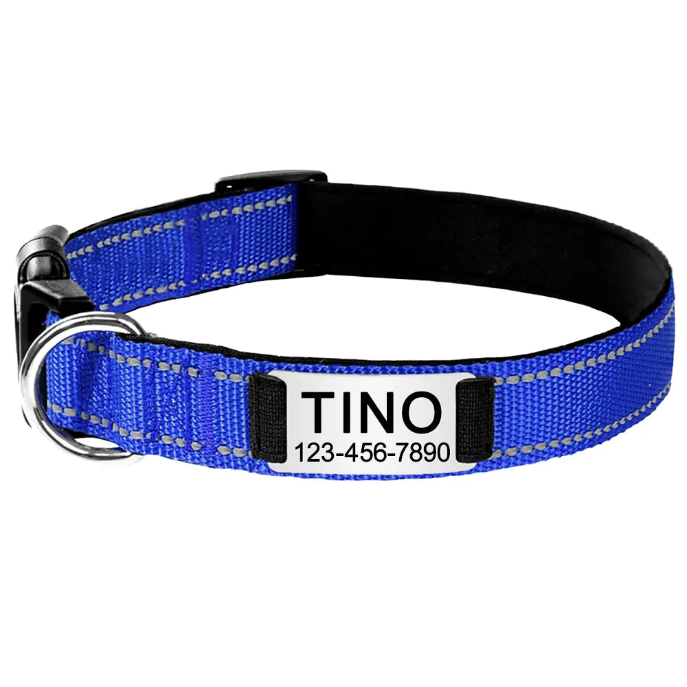 Personalized Dog Collar, elegant