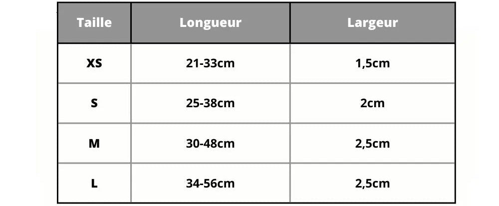 Personalized Dog Collar, elegant