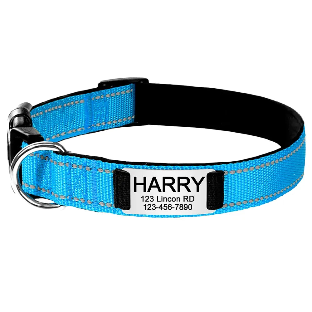 Personalized Dog Collar, elegant