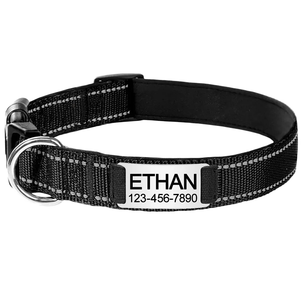 Personalized Dog Collar, elegant