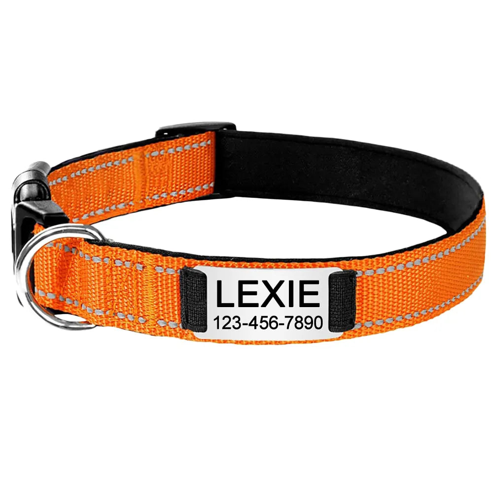 Personalized Dog Collar, elegant