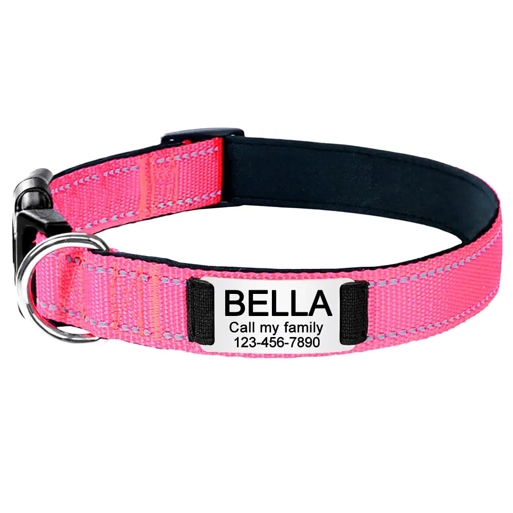 Personalized Dog Collar, elegant