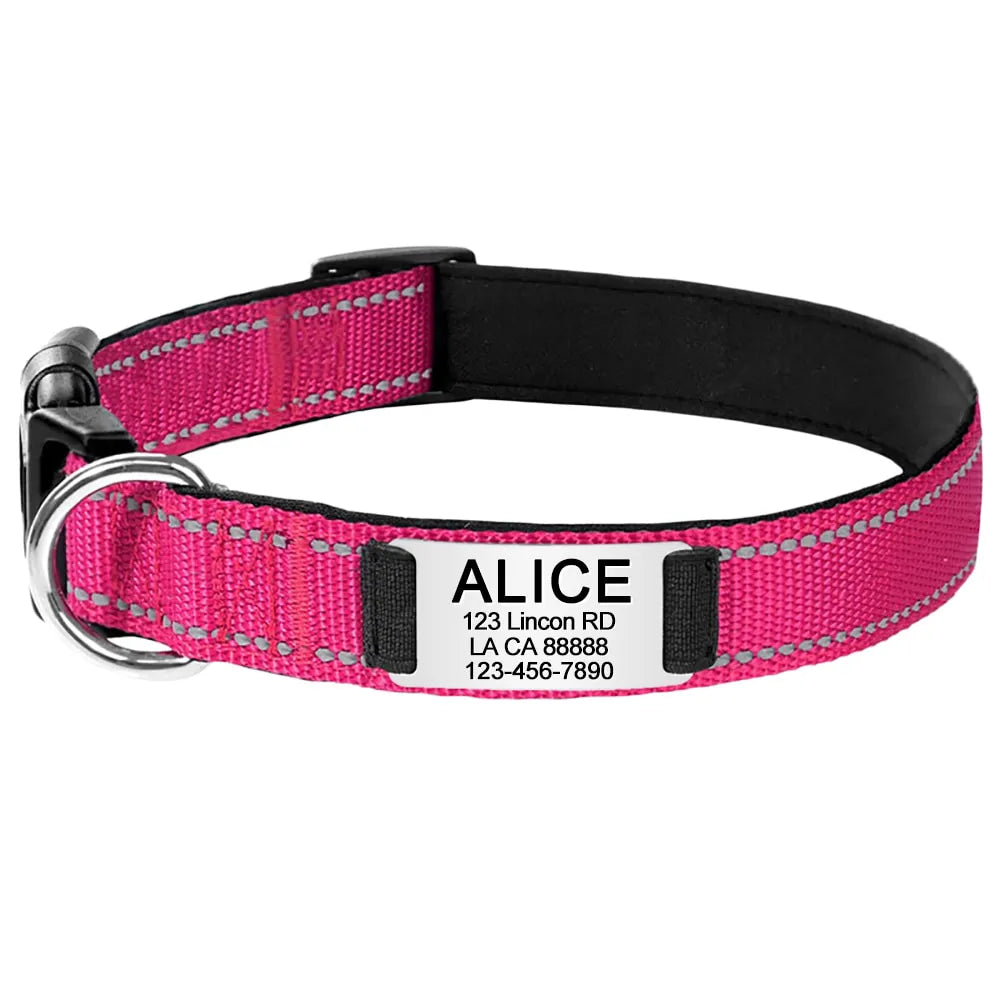 Personalized Dog Collar, elegant