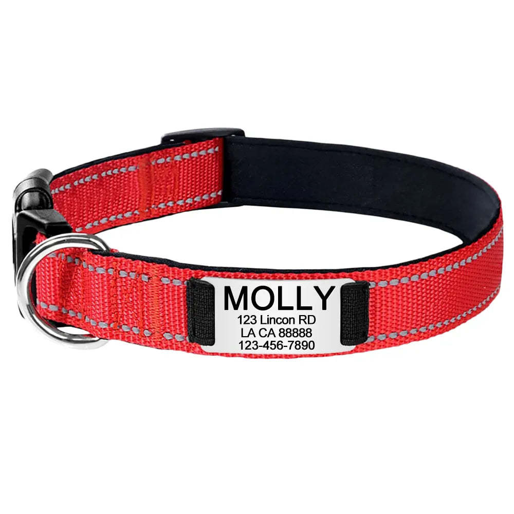 Personalized Dog Collar, elegant