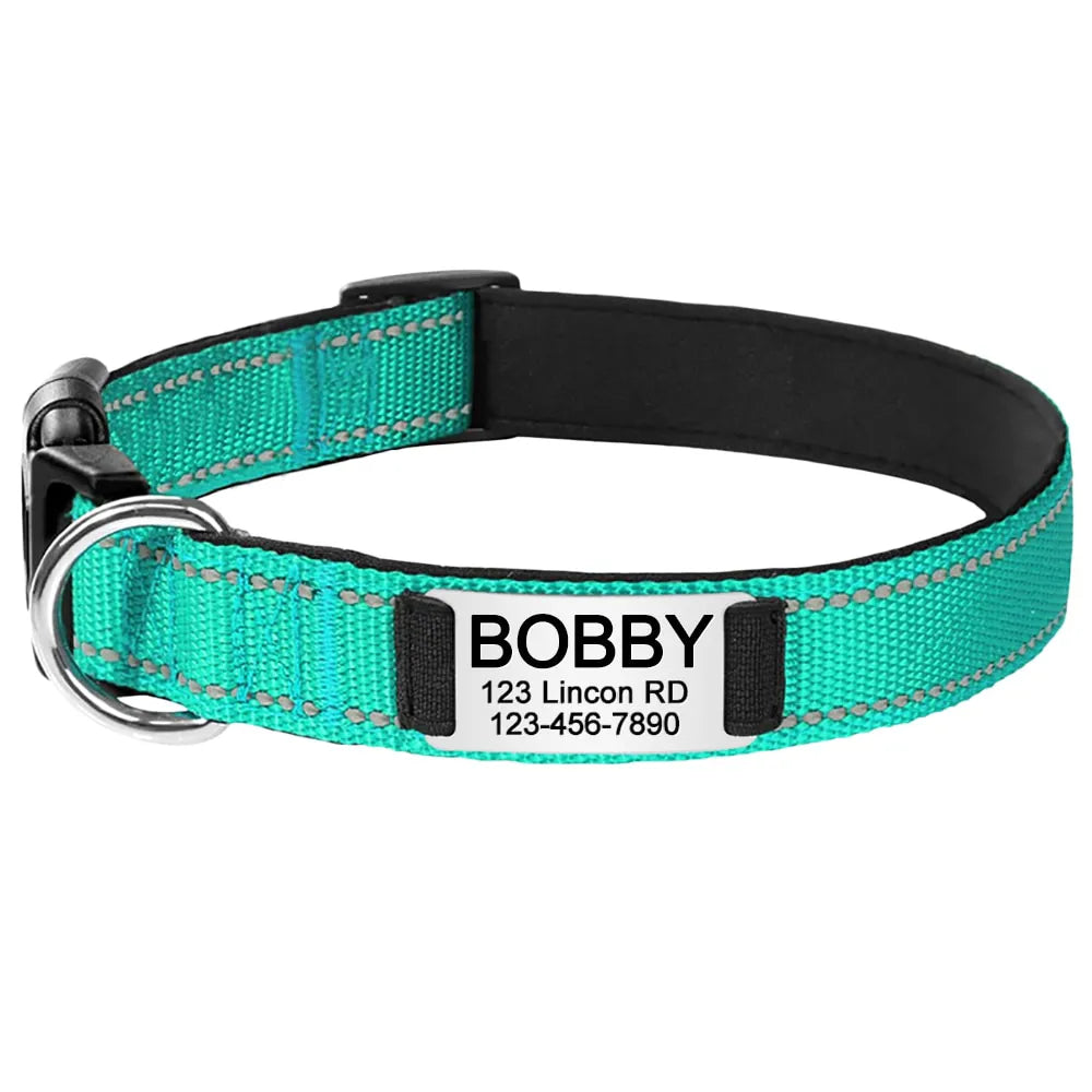 Personalized Dog Collar, elegant