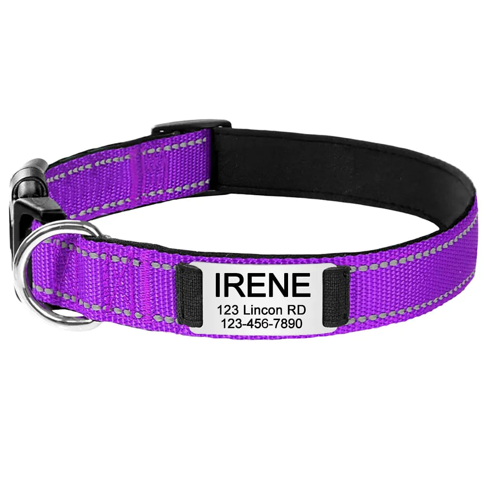 Personalized Dog Collar, elegant