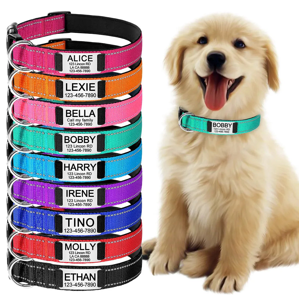 Personalized Dog Collar, elegant