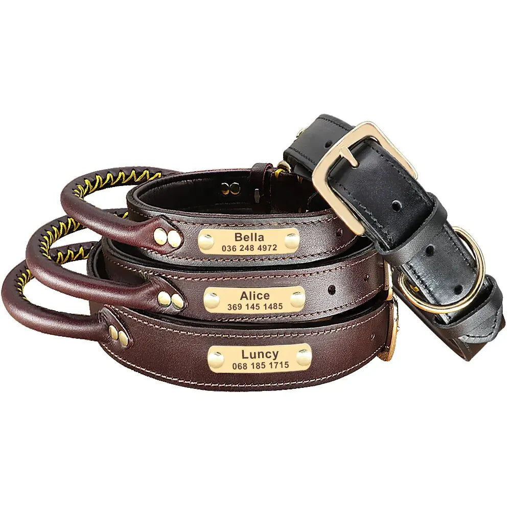 Personalized Dog Collar Engraved Hunt