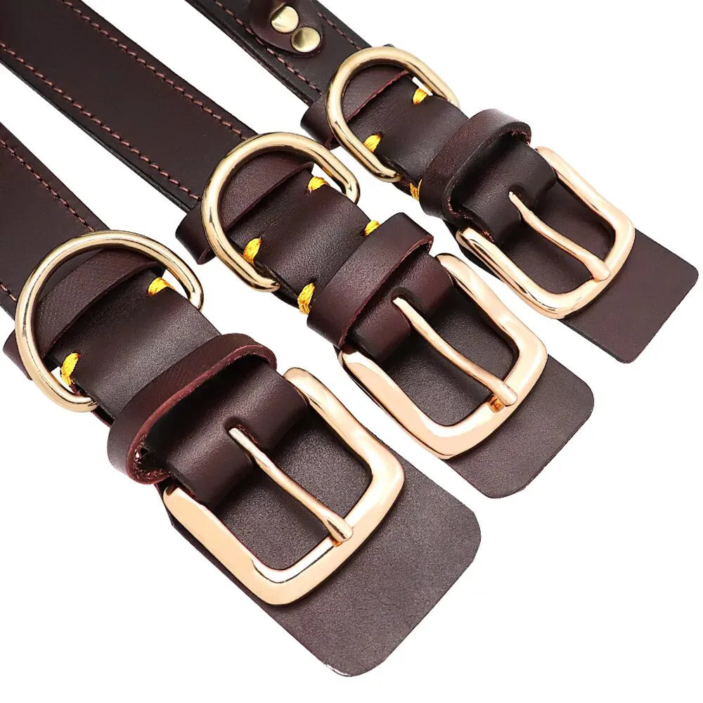 Personalized Dog Collar Engraved Hunt