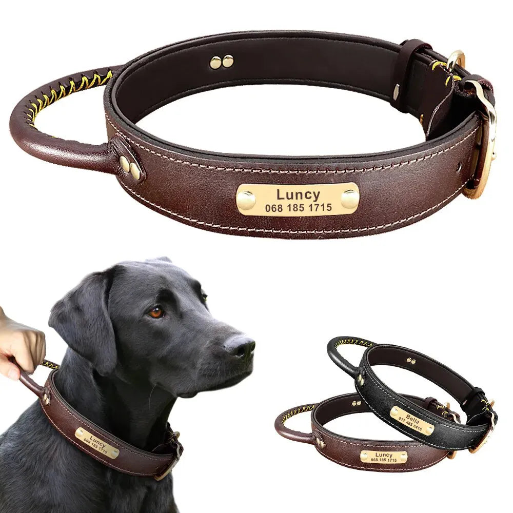 Personalized Dog Collar Engraved Hunt