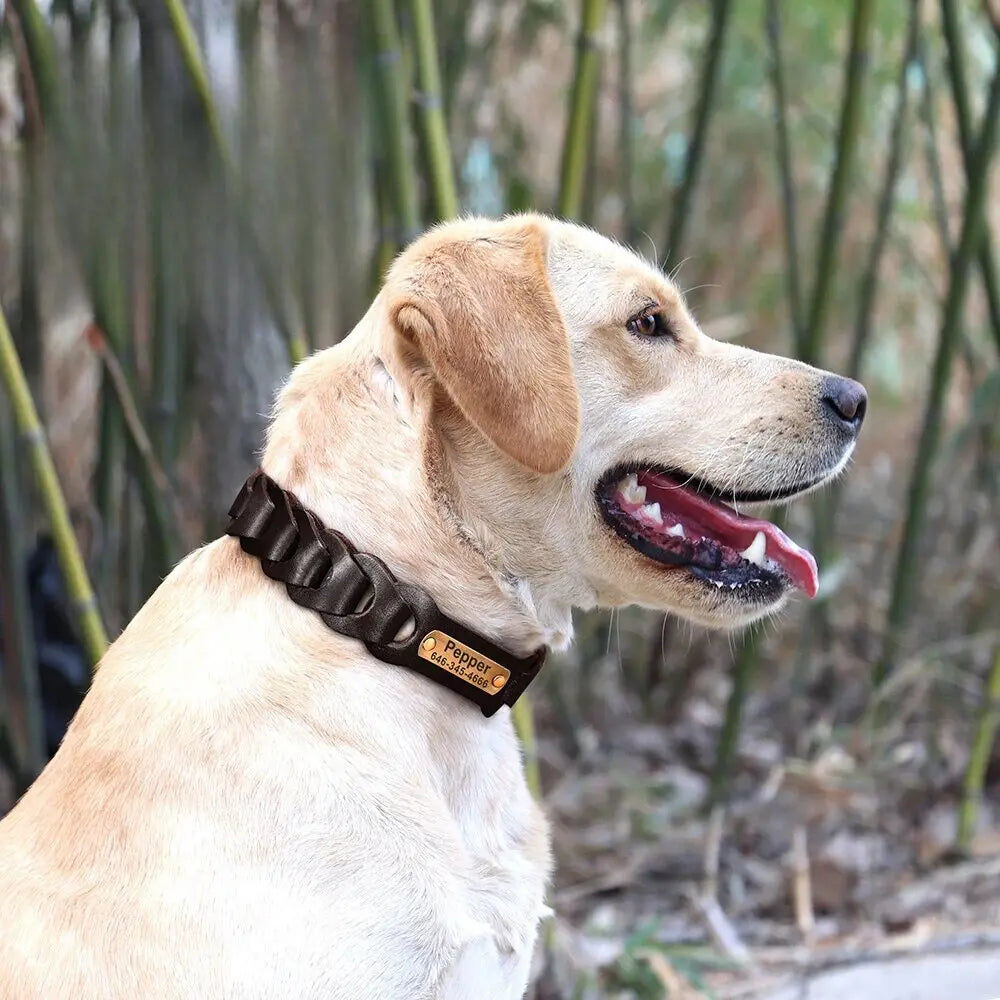 Personalized Dog Collar Engraved Hunting