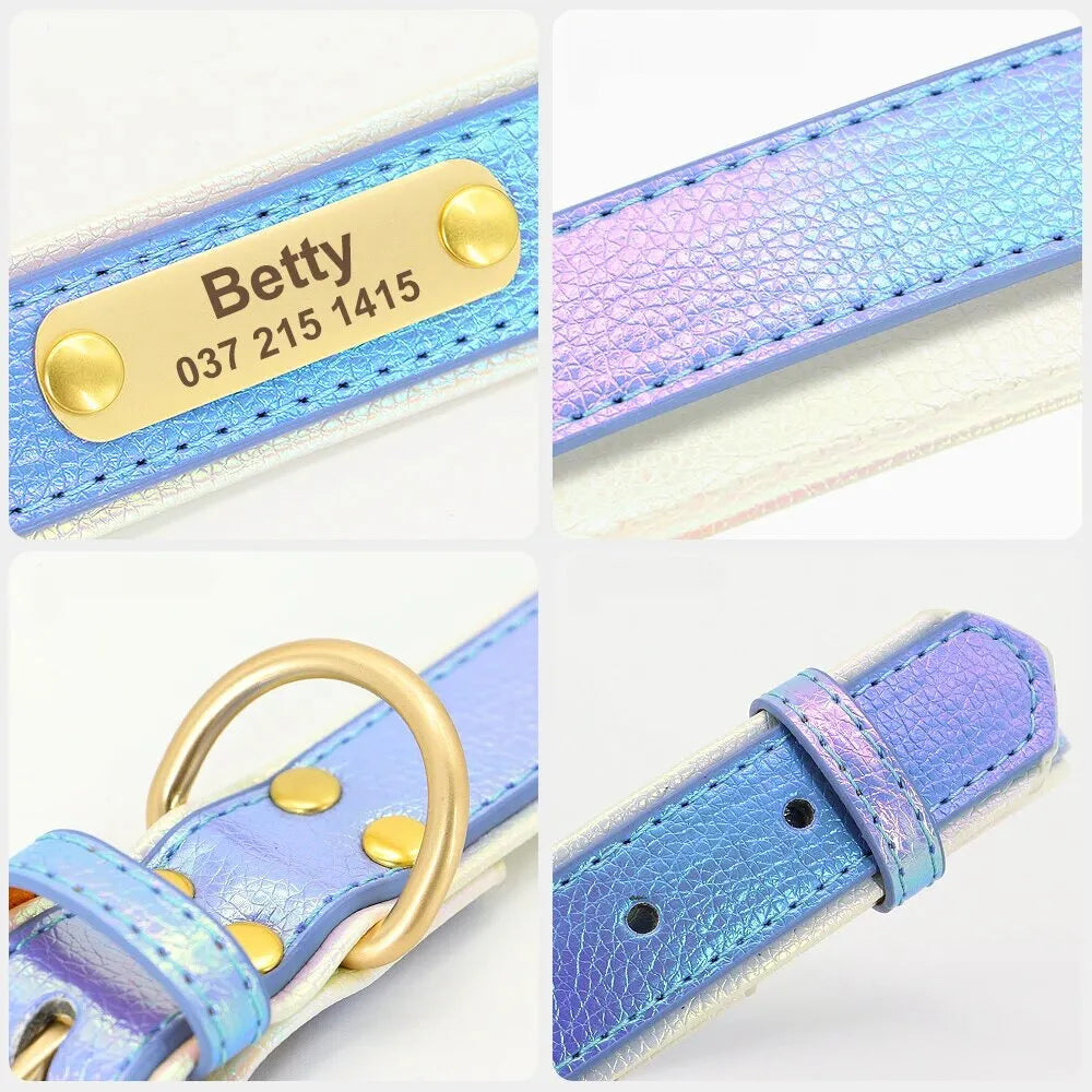 Personalized Dog Collar, Fluorescent